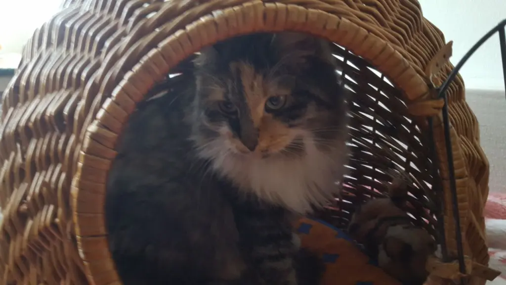 Andachtsbild von Rosemarie mit Minnie im Herzen