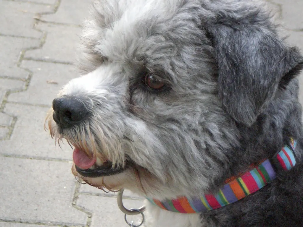 Condolence image of Gabriele