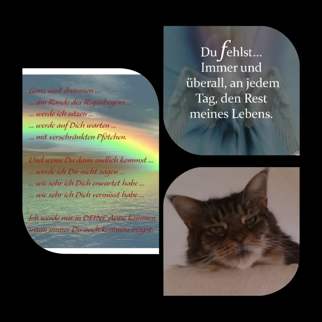 Condolence image of Miriam mit Joyce tief im Herzen