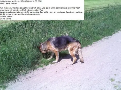 Image from Ronja