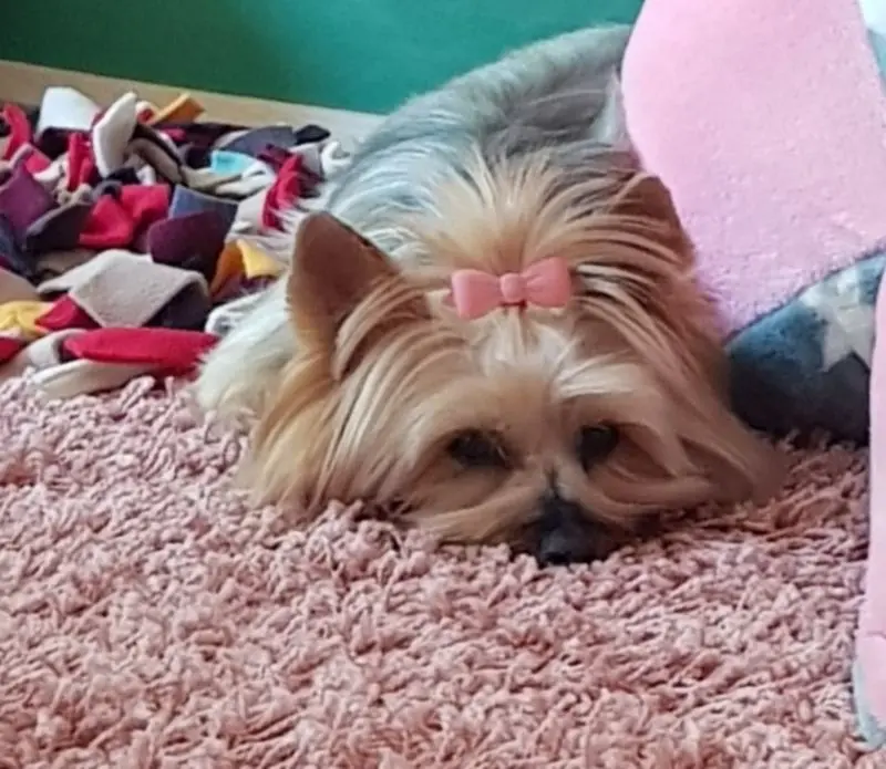 Condolence image of monic mit benni tief im ❤ 04.03.2018