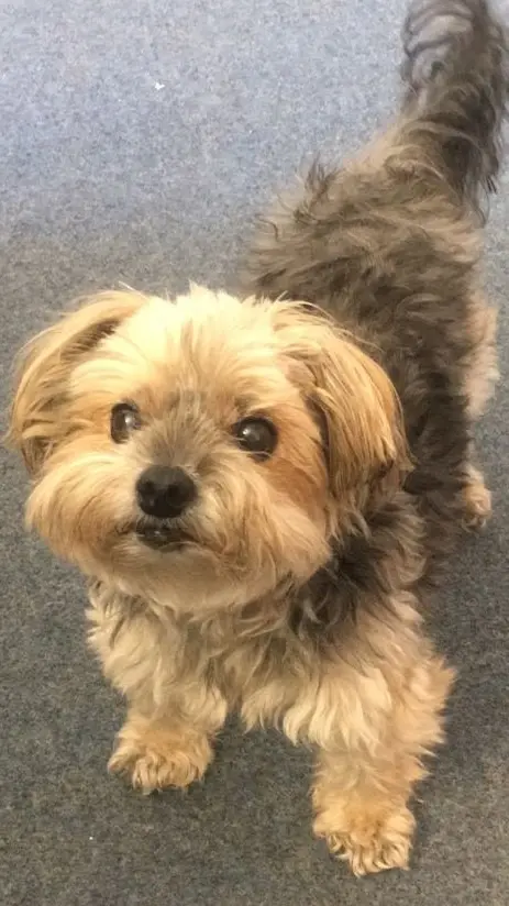 Condolence image of monic & amy♥️