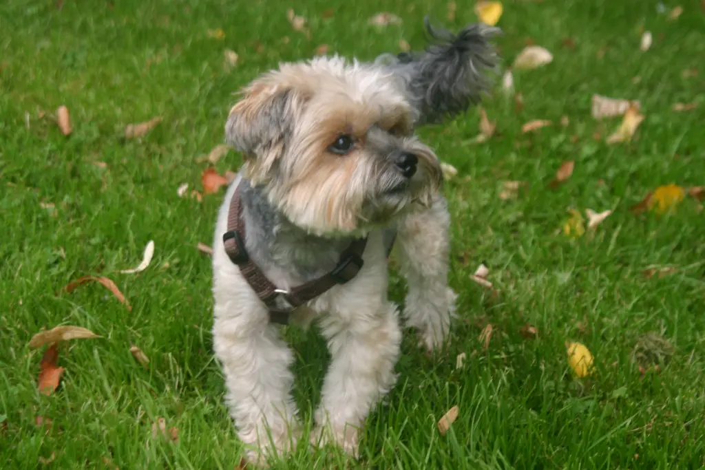 Condolence image of Unbekannt