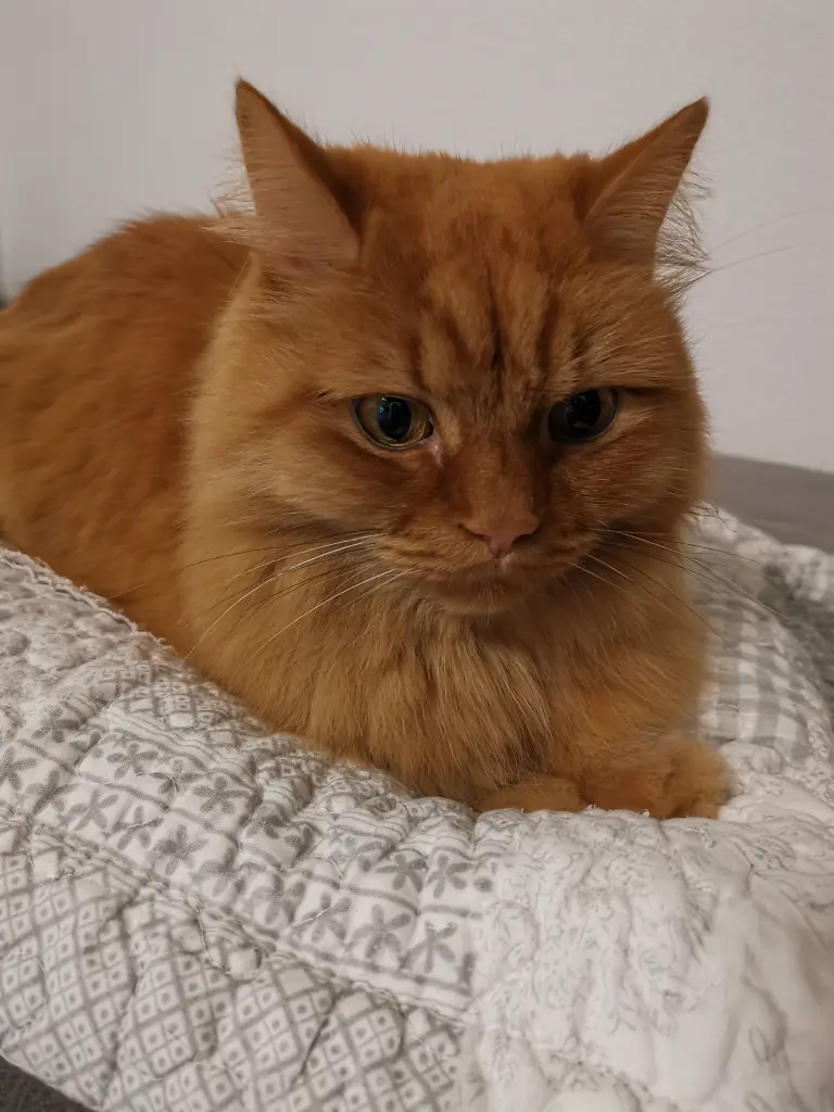 Condolence image of Unbekannt