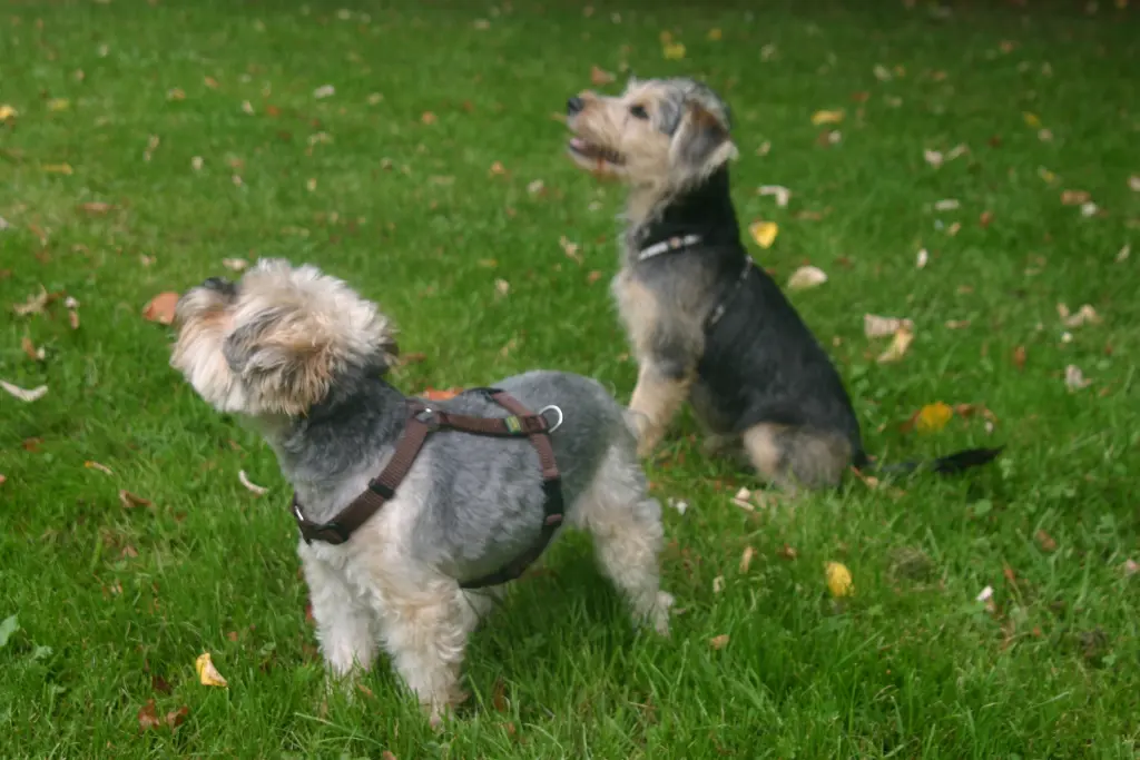 Condolence image of monic&amy♥️