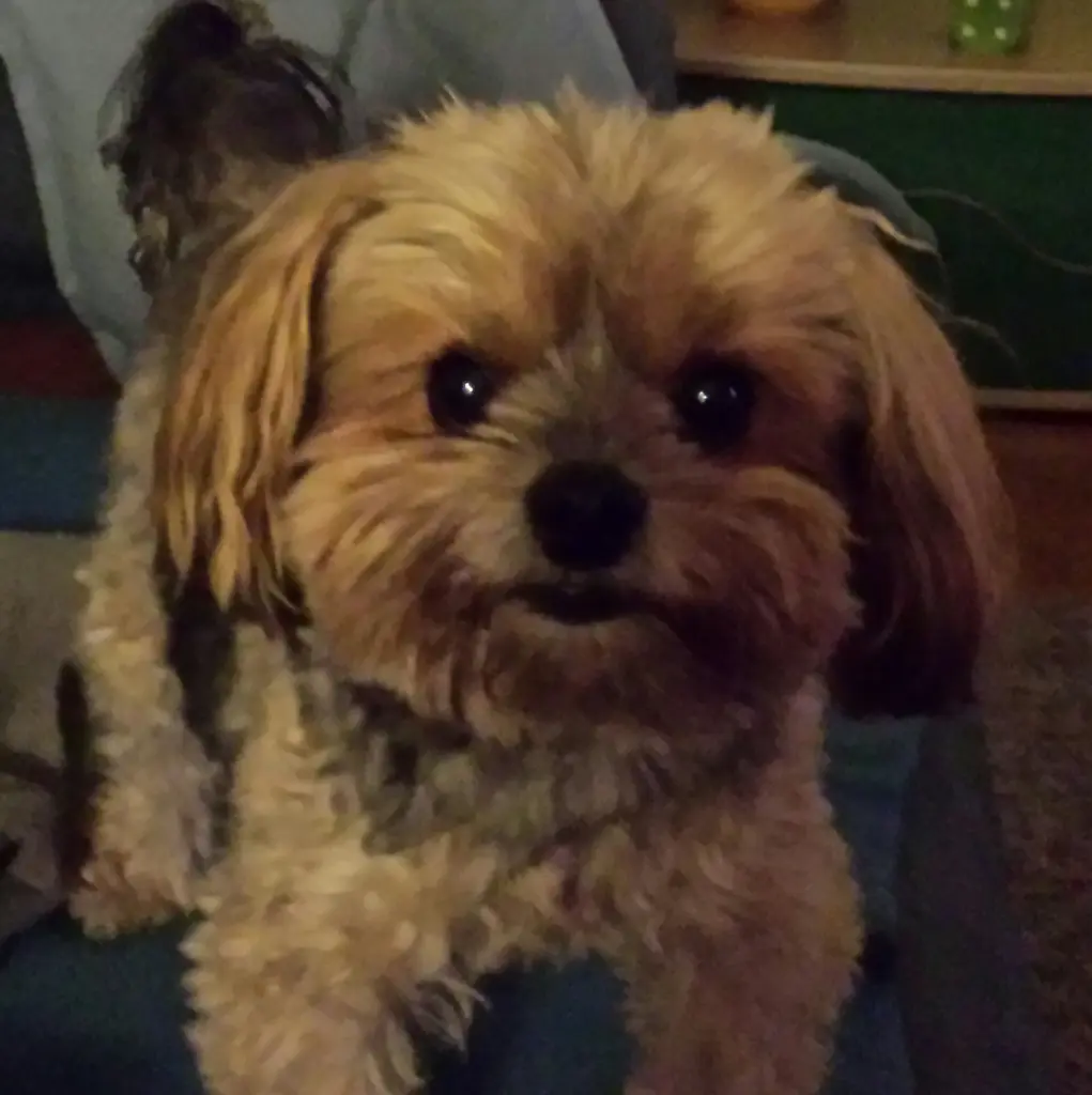 Condolence image of monic&amy♥️