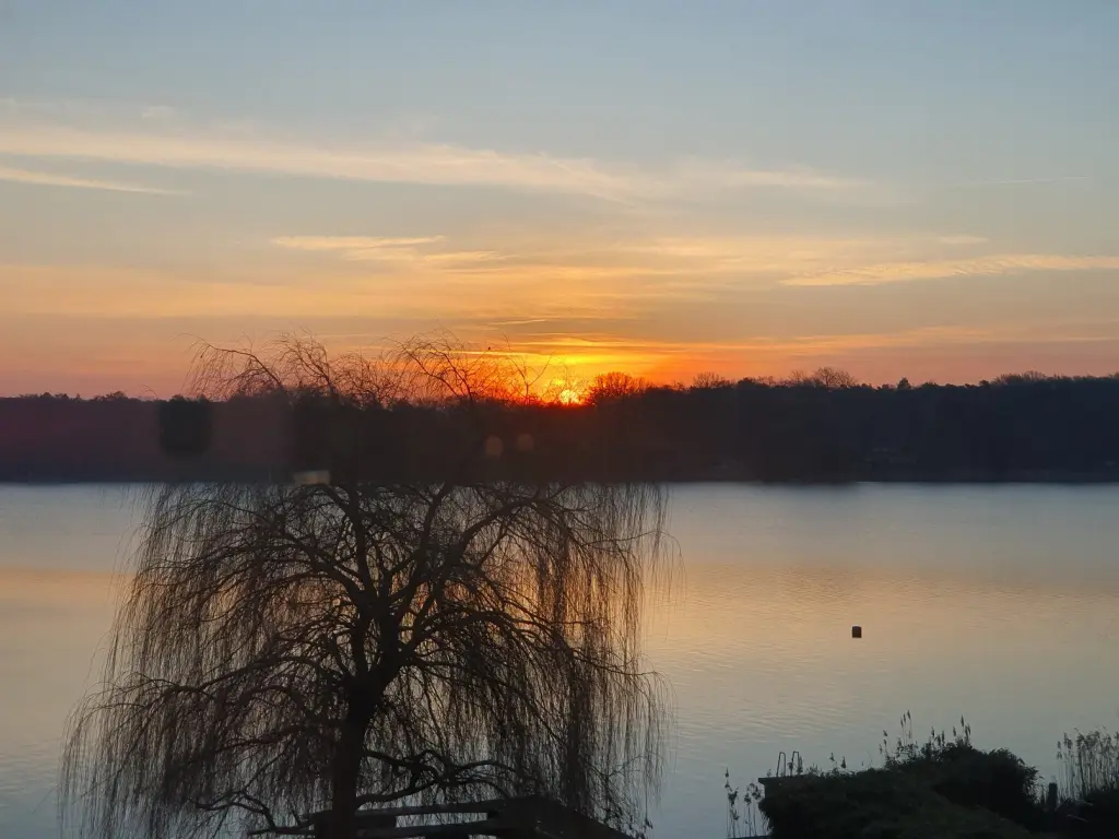 Condolence image of monic&amy