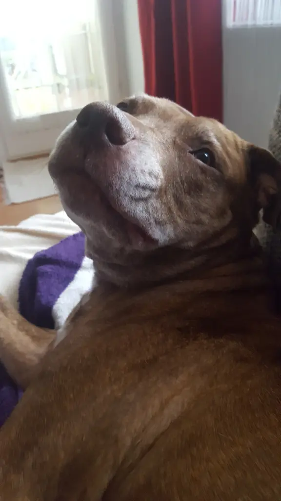 Condolence image of Manu und Pascal mit Louisa im Herzen