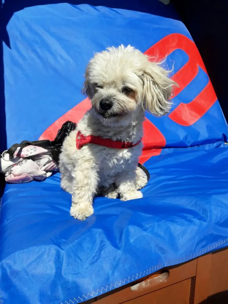 Condolence image of Monika  Ehlers