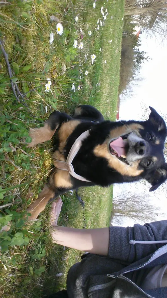 Condolence image of Jennifer Leppin