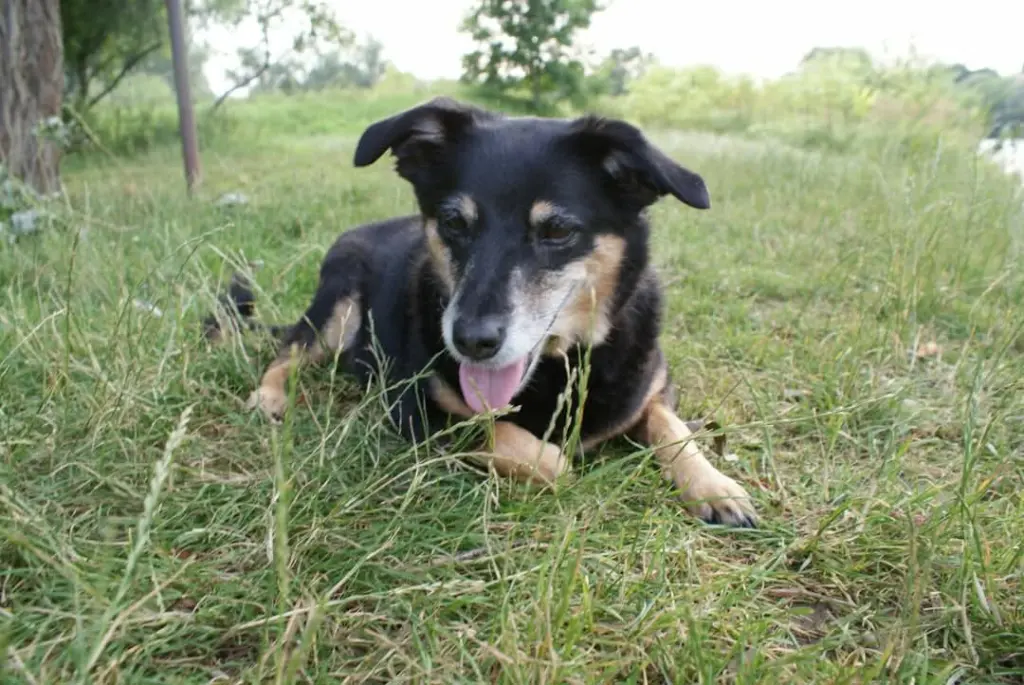 Condolence image of Jennifer Wildner
