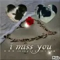 Condolence image of Snoopy und .Pünktchen