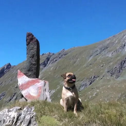 Andachtsbild von Evelyn