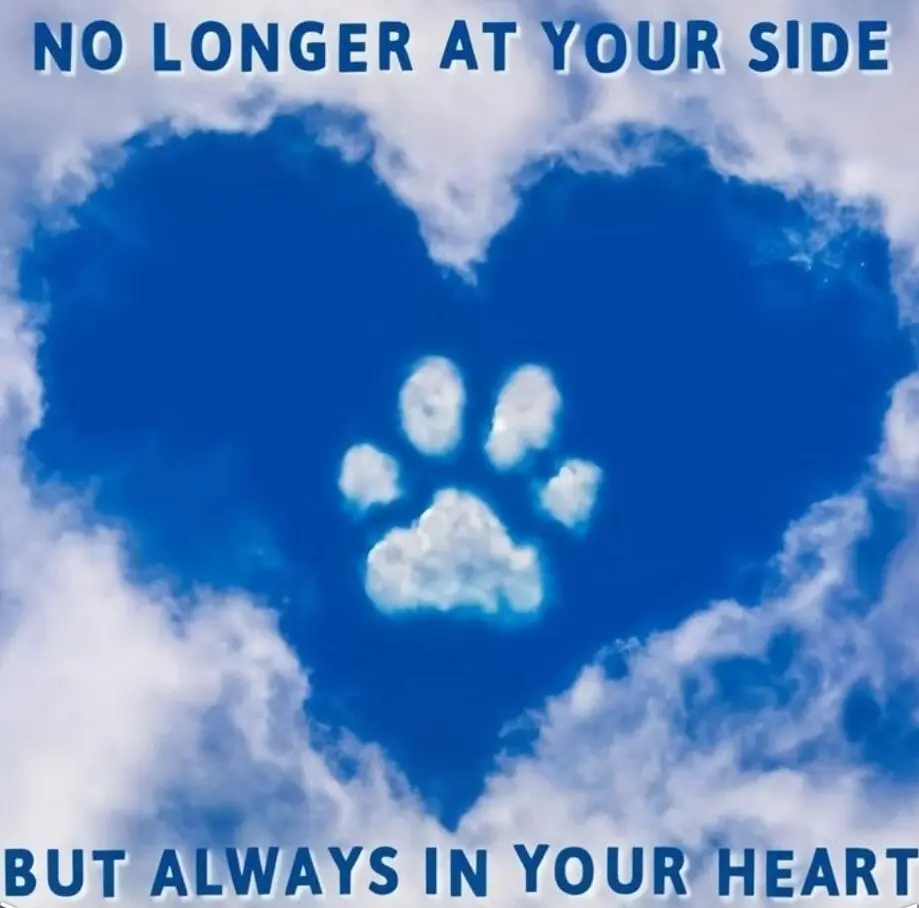 Andachtsbild von Franziska Fromme