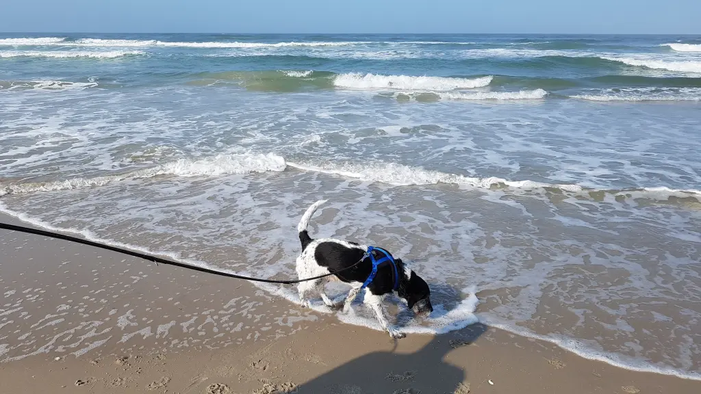 Andachtsbild von Karin Fromme