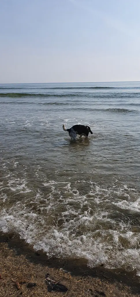 Andachtsbild von Karin Fromme