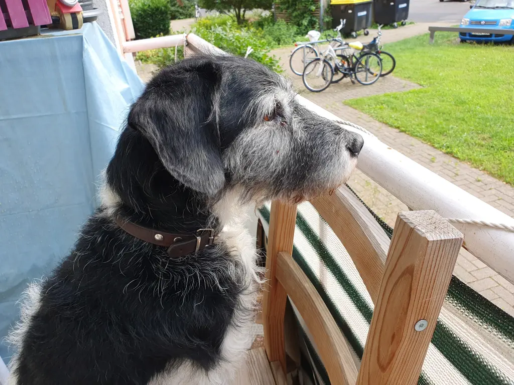 Andachtsbild von Karin Fromme