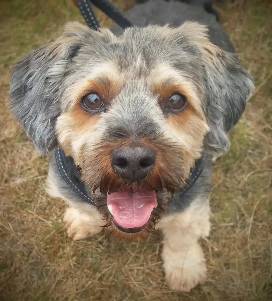 ♾️ 🫶🏻 🐾