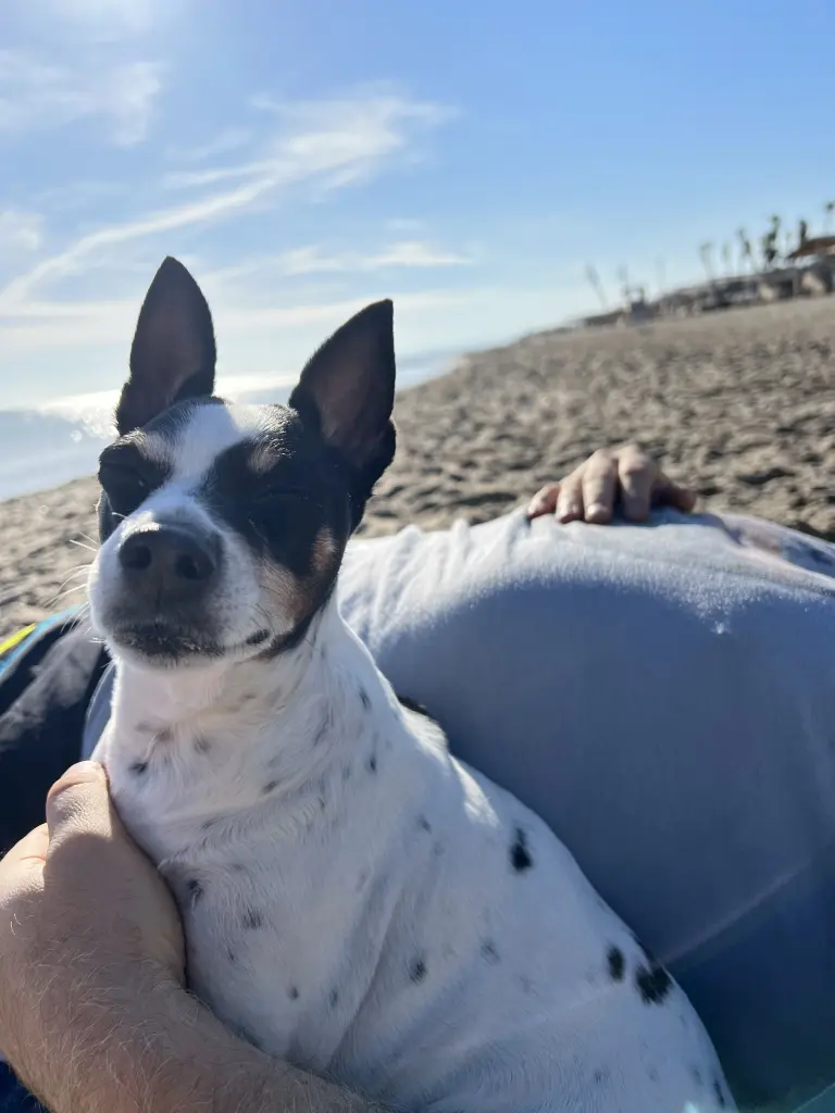 Andachtsbild von Marilu, Tony, Helena and Alexa Seklecki