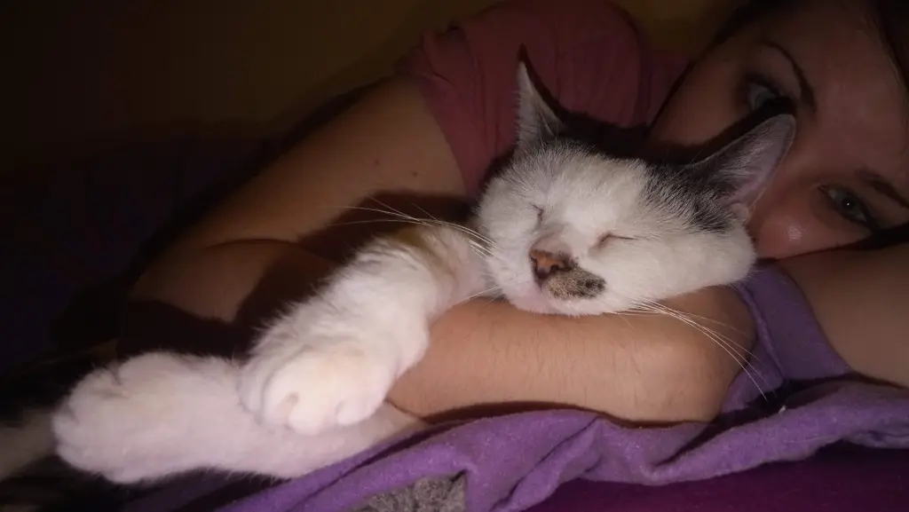 Image from Kitty