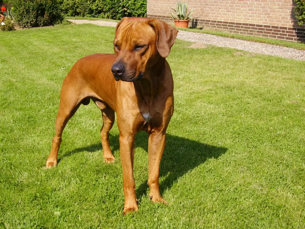 Condolence image of Britta