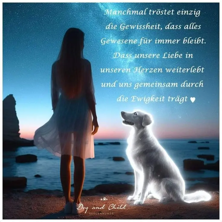 Condolence image of Manuela mit Fiby im Herzen ❤️ 