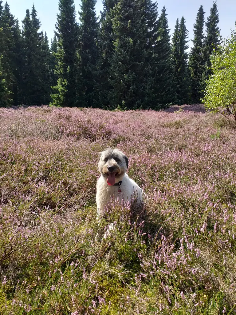 Condolence image of Karin 