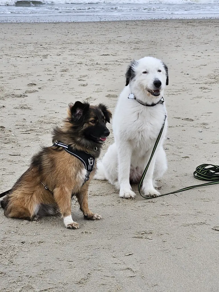 Condolence image of Karin Truffel