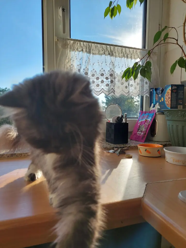 Image from Sunshine 