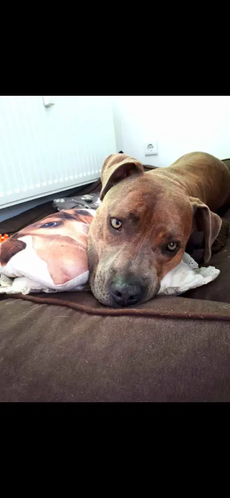 Andachtsbild von Julia Spremberg