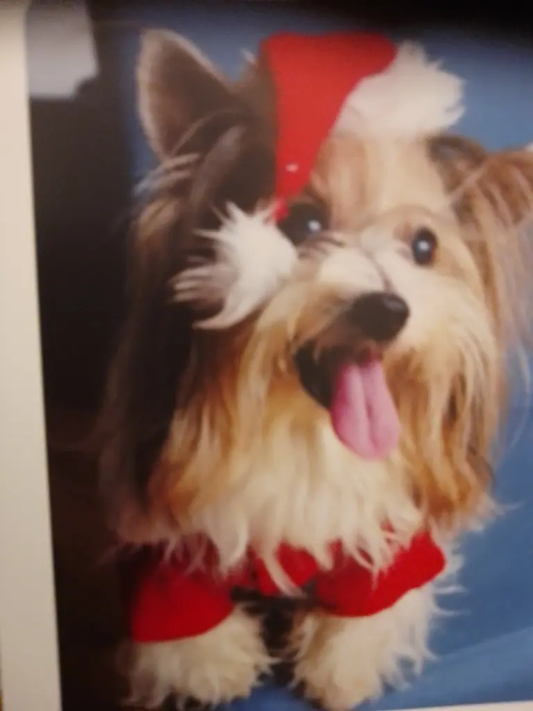 Andachtsbild von Konny mit Piccolino-Fly tief im ❤️