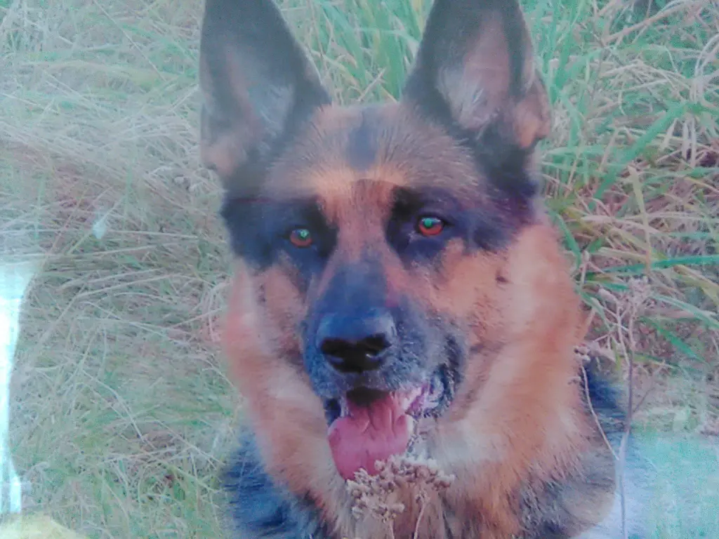 Condolence image of michael