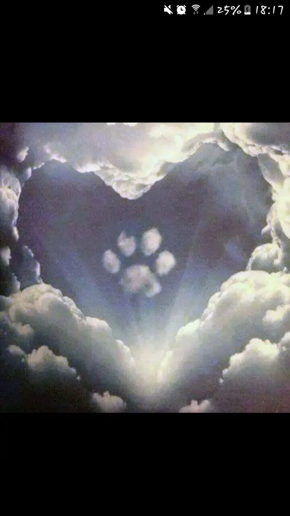 Condolence image of Eva