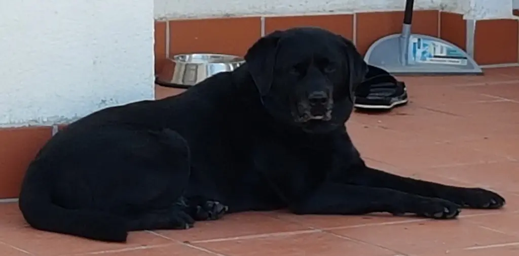 Condolence image of Thomas  Bach 