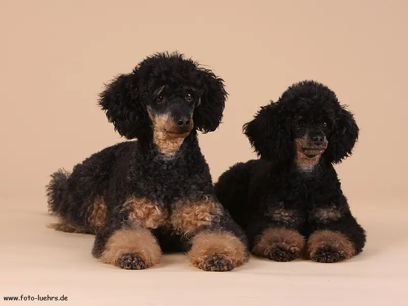 Condolence image of Patricia