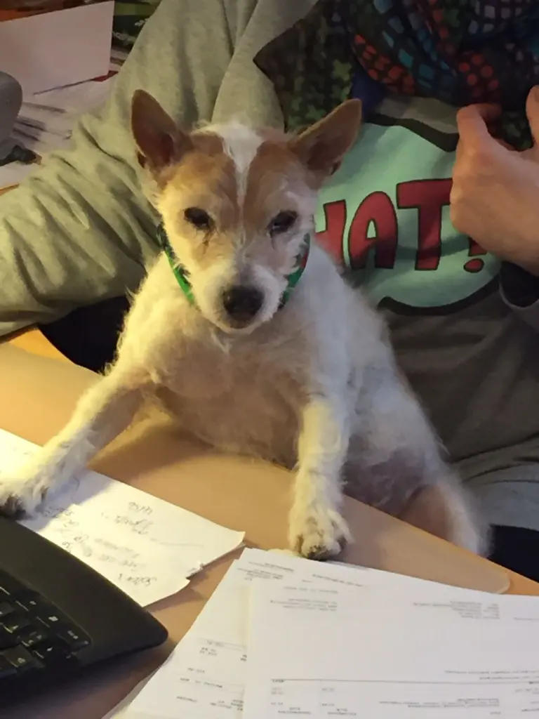 Condolence image of Petra