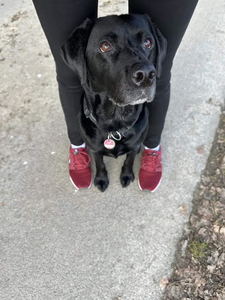 Image from Roxy