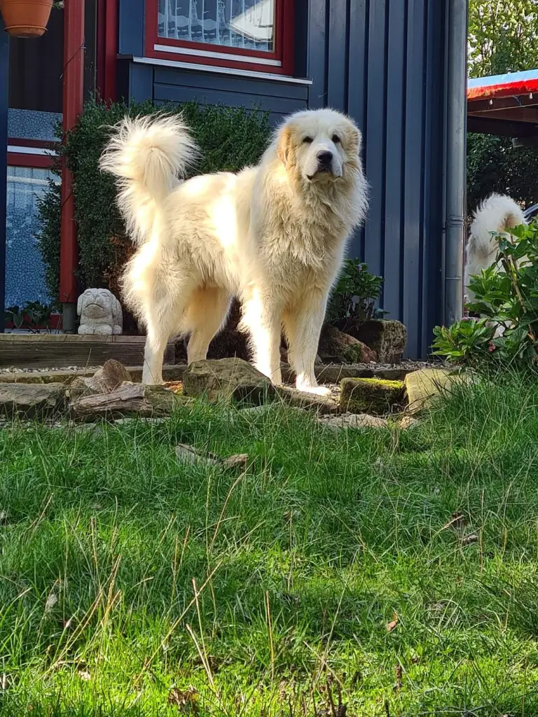 Wie schnell er groß geworden ist 8 Jahre