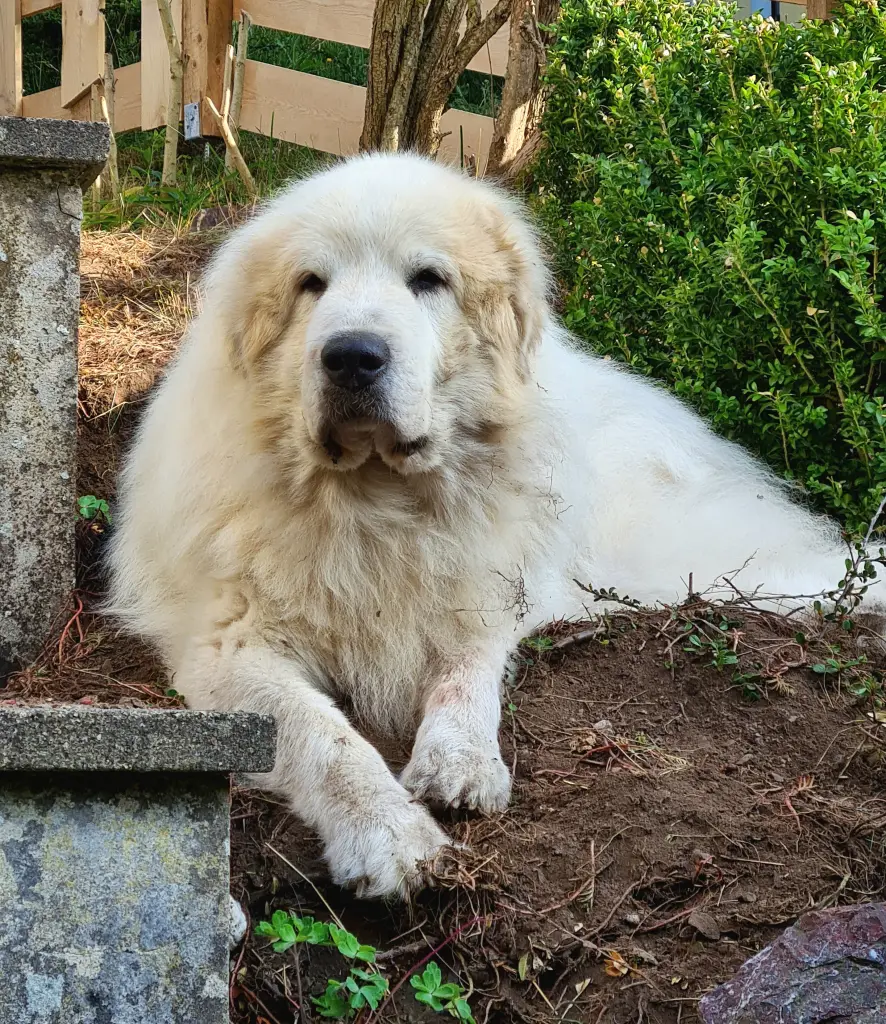 Noch einmal die Sonne genießen 12 Jahre