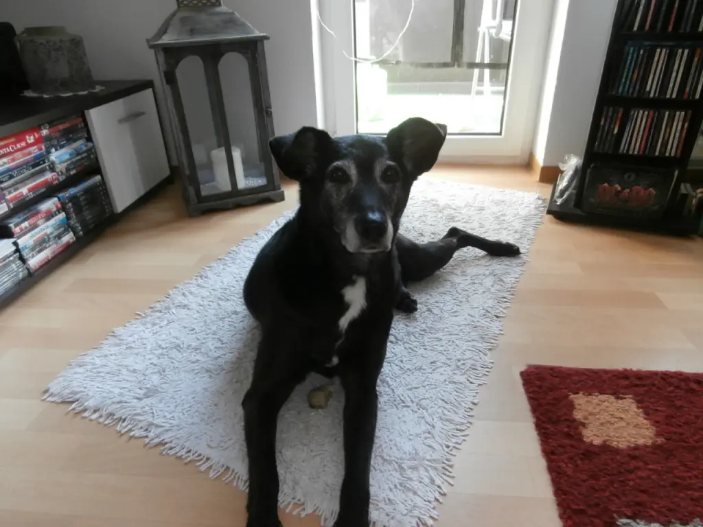 Andachtsbild von Unbekannt