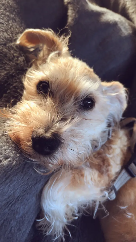 Andachtsbild von Melina