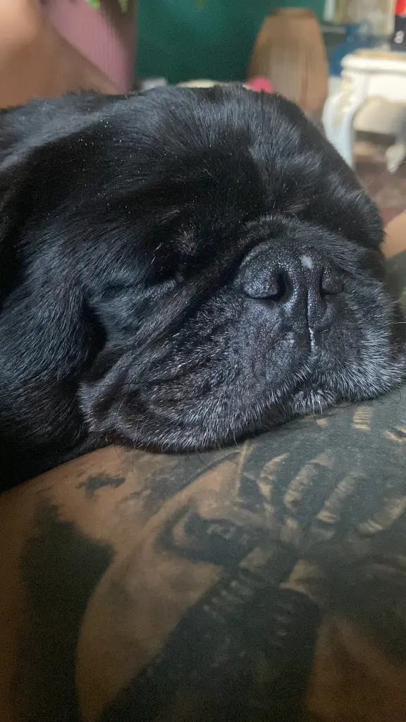 meine Einschlafhilfe