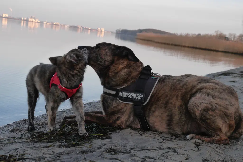 Andachtsbild von Michelle