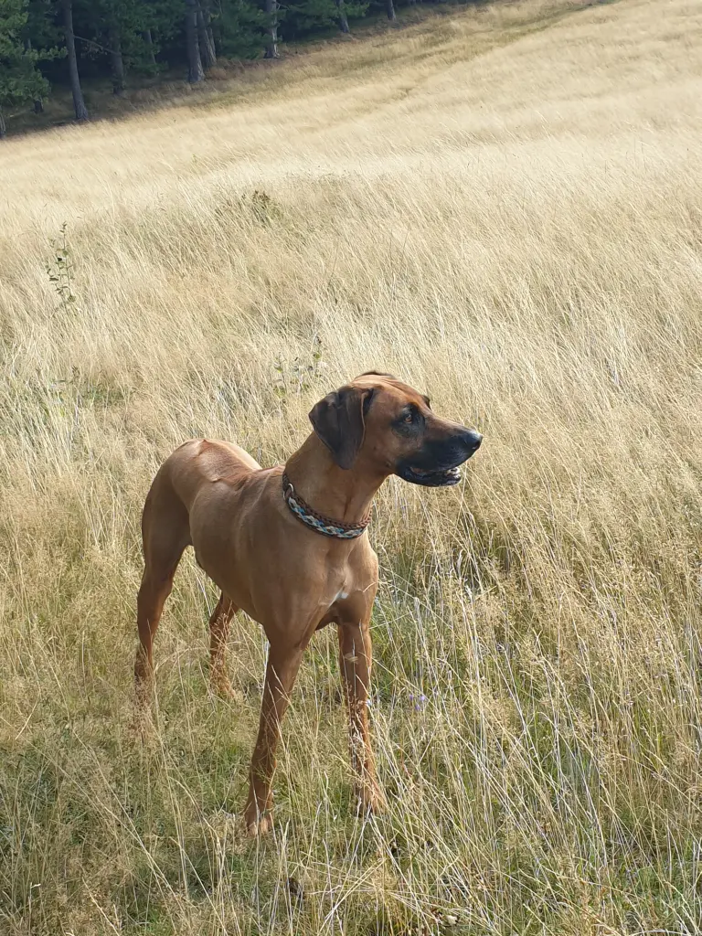 Image from Milow