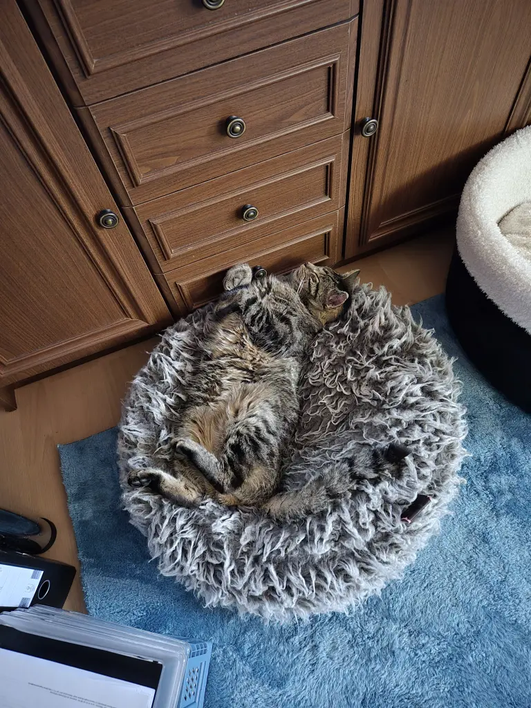 Andachtsbild von Andreas Wirth