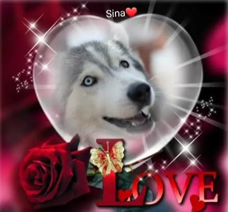 Condolence image of Oli max Und sina
