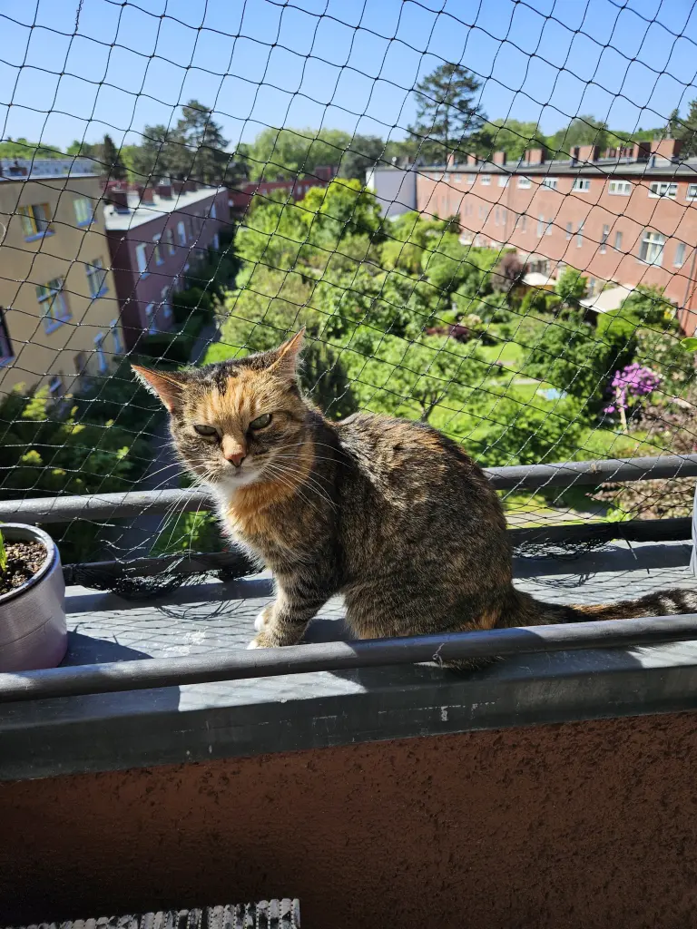 Den Balkon hast Du geliebt
