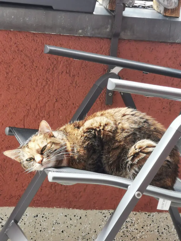 Das hast De genossen