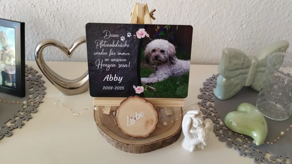 Image from Abby