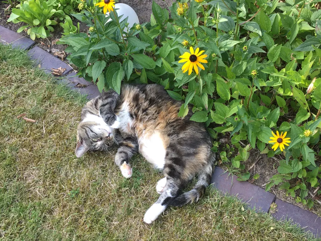 Andachtsbild von Beate